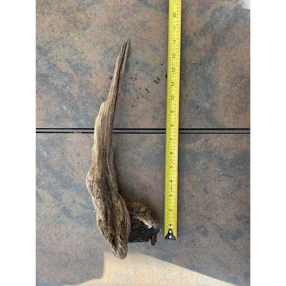 Natural Driftwood for Plants Terrarium Taxidermy Art Projects - Picture 4 of 5